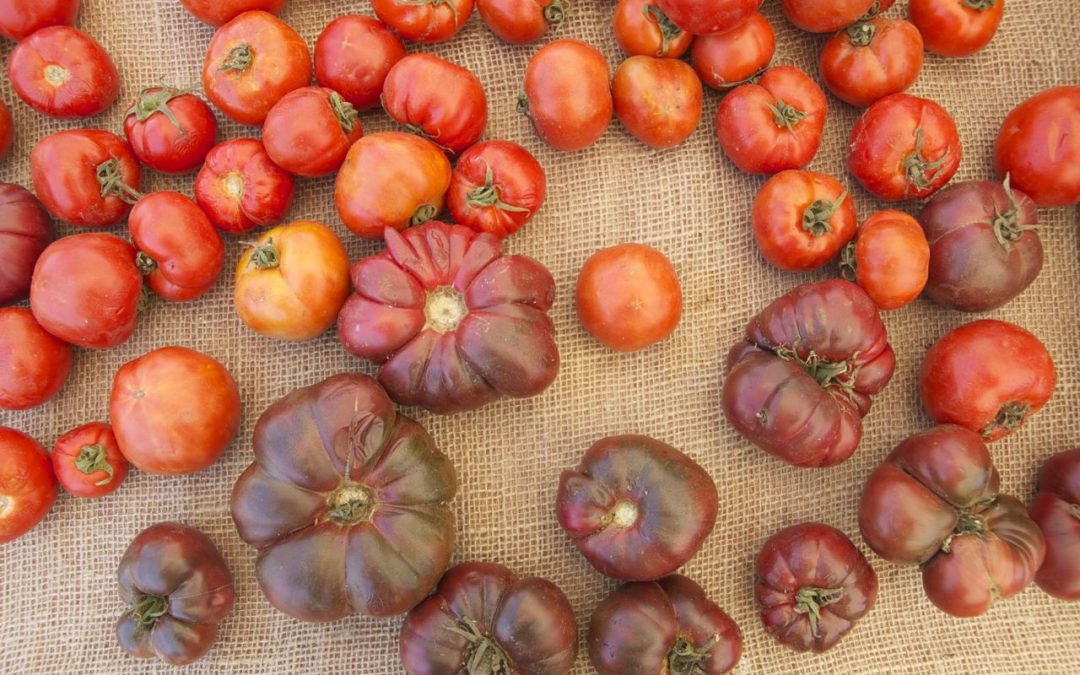 Weird-Looking Heirloom Vegetables: Why They’re Important