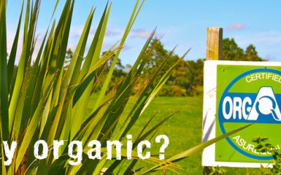 8 Reasons Eating Organic is Important to You… and the World around You!