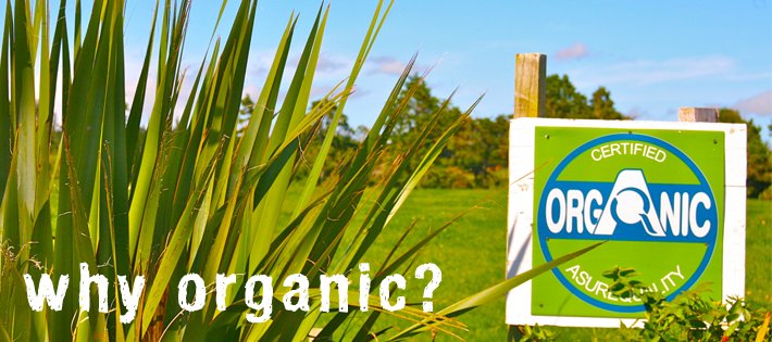 8 Reasons Eating Organic is Important to You